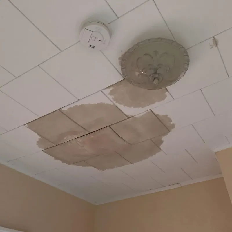 Ceiling Water Damage Repair in Lincoln, ND