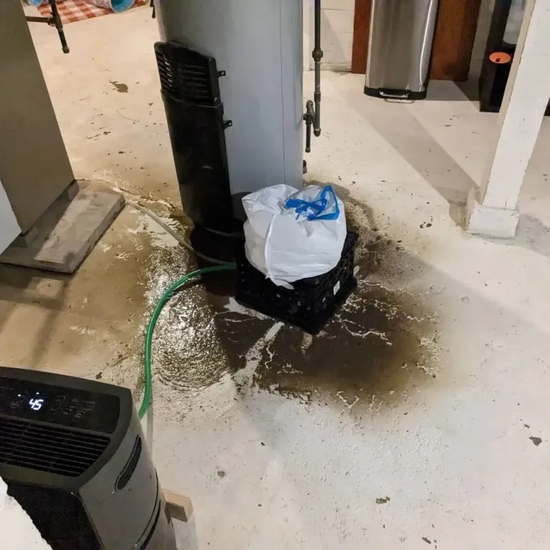 Sewage Backup Cleanup Service in Lincoln, ND